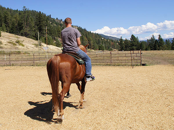 Things to see and do in and around Kelowna.